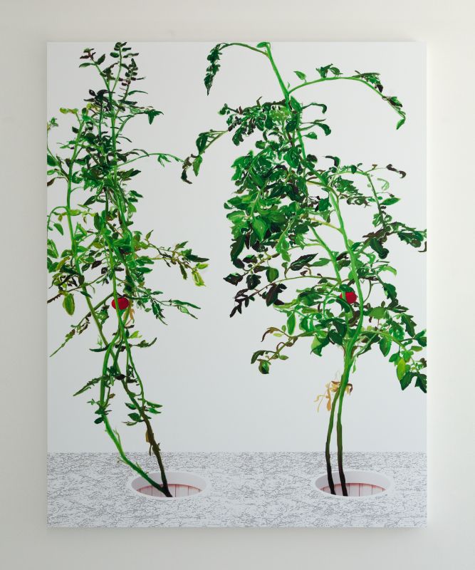 VII, 20150219, 60 × 48 in (1524 × 1219 mm), digital image of matte giclée