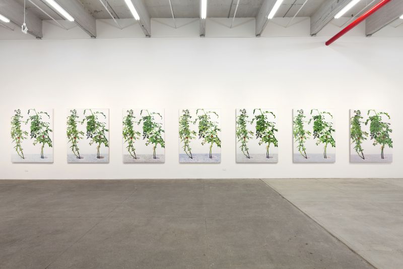Installation view, 1 7 and 6000, 20150201