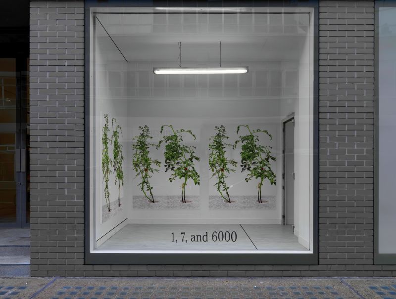 Installation view, 1 7 and 6000, 20150201