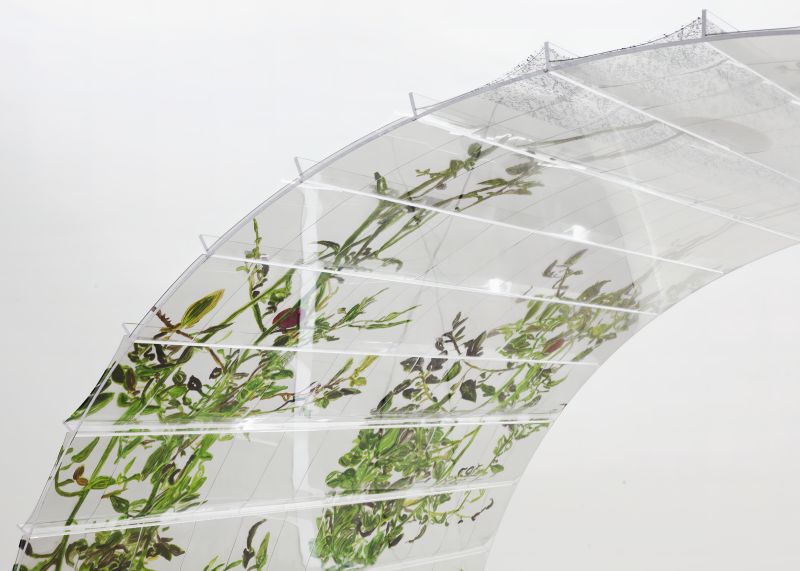Alex Fischer, VII (6000), 20150226