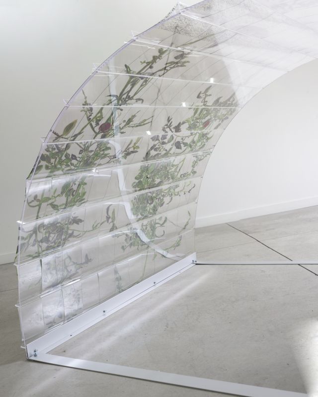 Alex Fischer, VII (6000), 20150226