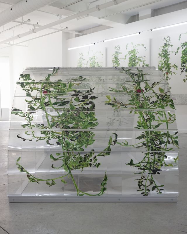Alex Fischer, VII (6000), 20150226
