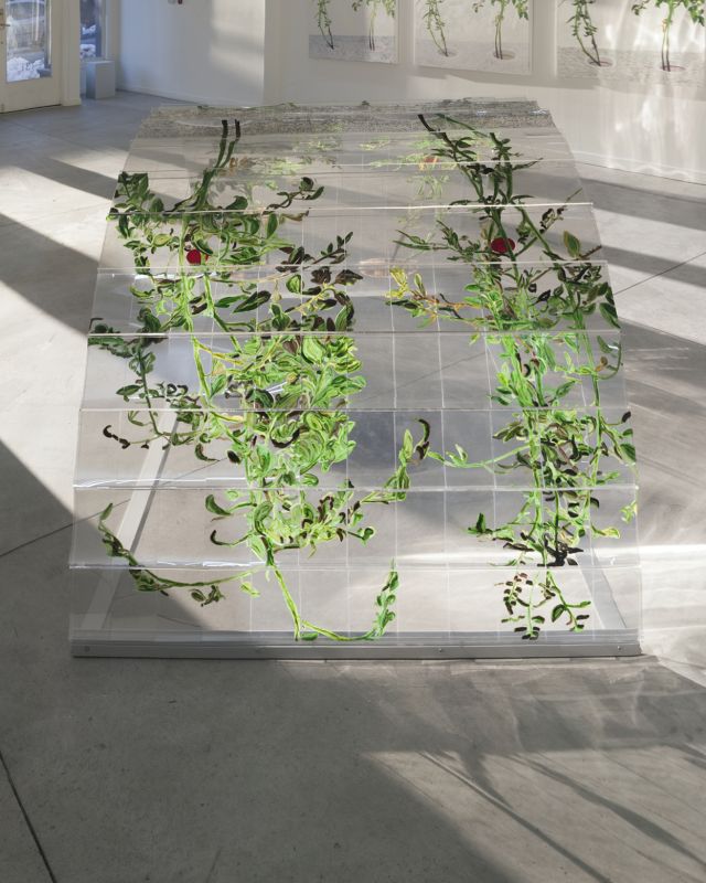 Alex Fischer, VII (6000), 20150226