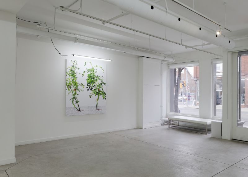 Installation view, 1 7 and 6000, 20150201