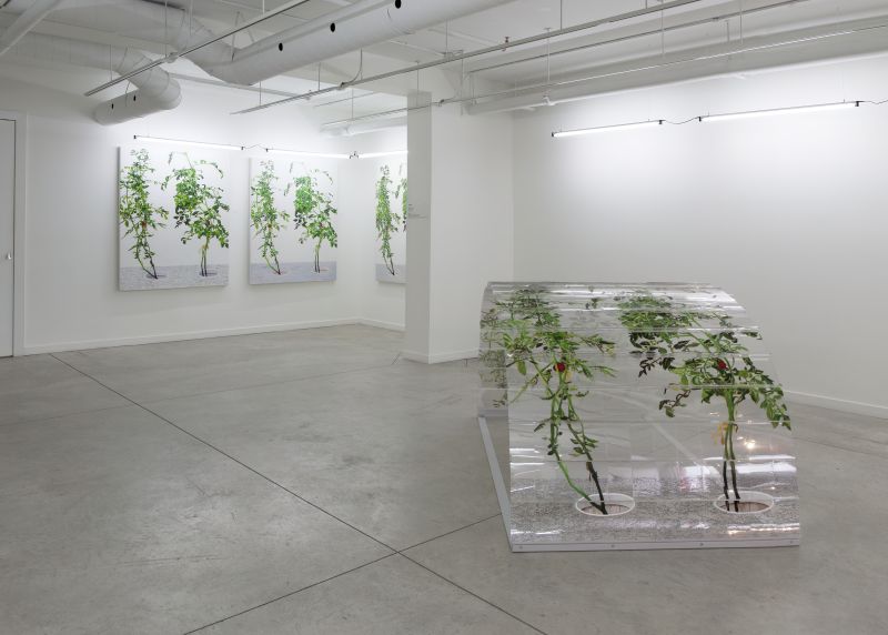 Installation view, 1 7 and 6000, 20150201