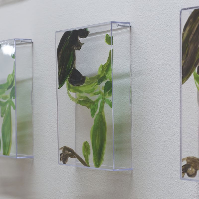 Alex Fischer, VII (6000), 20150226