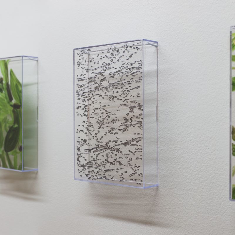 Alex Fischer, VII (6000), 20150226