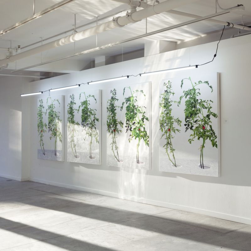 Installation view, 1 7 and 6000, 20150201