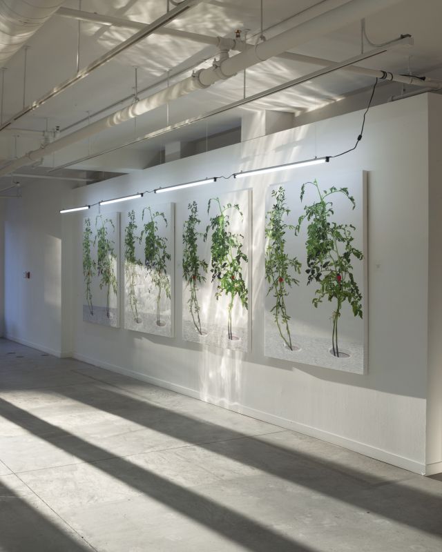 Installation view, 1 7 and 6000, 20150201