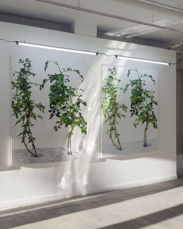Installation view, 1 7 and 6000, 20150201