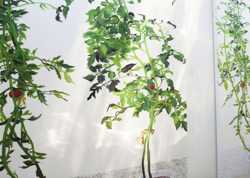 Installation view, 1 7 and 6000, 20150201