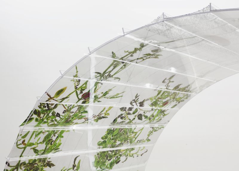 Alex Fischer, VII (6000), 20150226