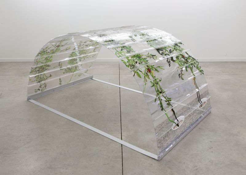 Alex Fischer, VII (6000), 20150226