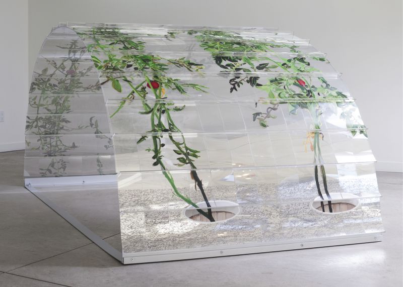 Alex Fischer, VII (6000), 20150226