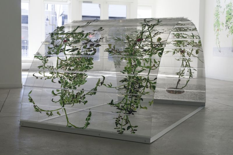 Alex Fischer, VII (6000), 20150226