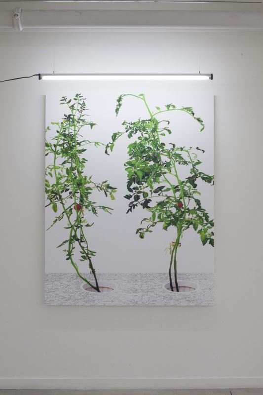 Installation view, 1 7 and 6000, 20150201