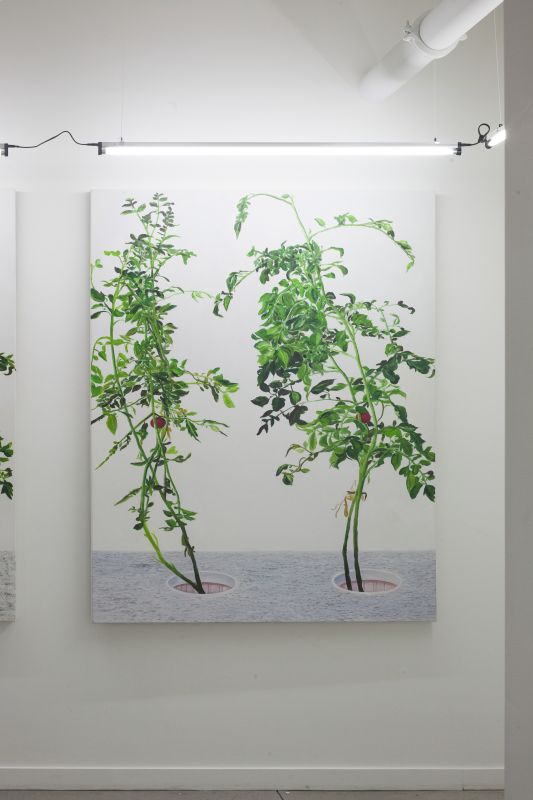 Alex Fischer, VII 冯声贵 Feng Shui Gui, 20150226