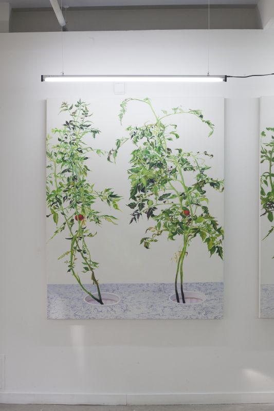 Alex Fischer, VII 江明 Jiang Ming, 20150226