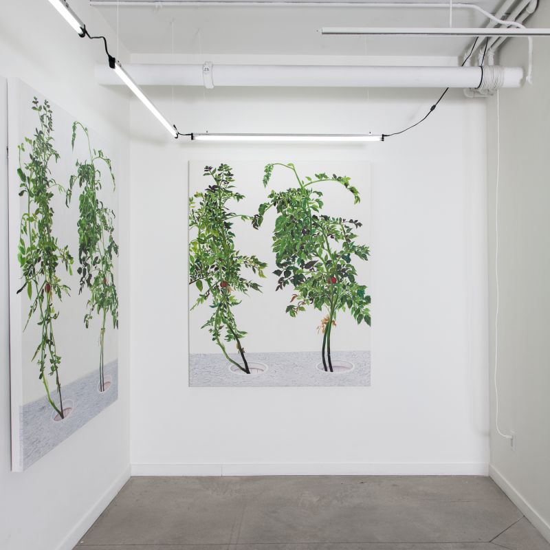 Alex Fischer, VII 陈山 Chen Shan, 20150226