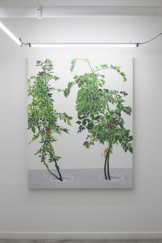 Alex Fischer, VII 陈山 Chen Shan, 20150226