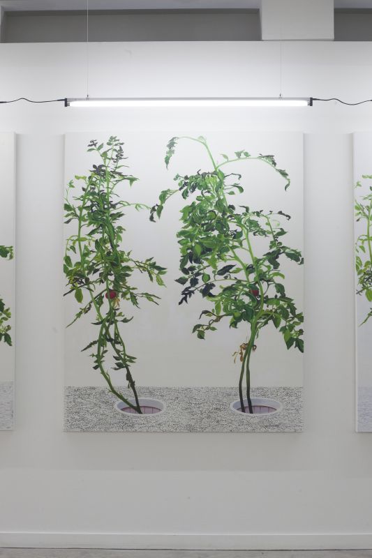 Alex Fischer, VII 陈文波 Chen Wen Bo, 20150226