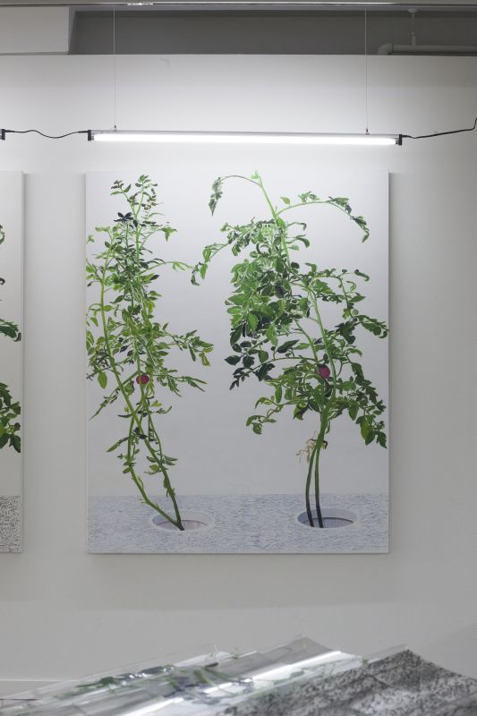 Alex Fischer, VII 陈秋林 Chen Qiu Lin, 20150226