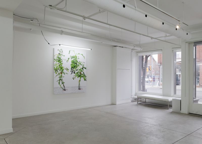 Installation view, 1 7 and 6000, 20150201
