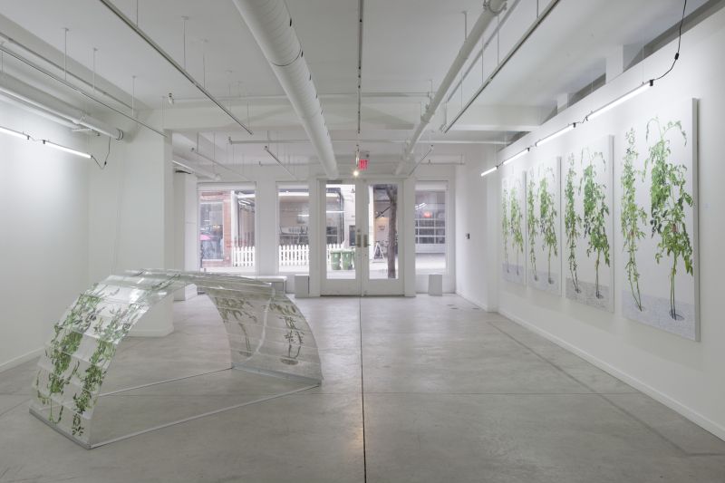 Installation view, 1 7 and 6000, 20150201