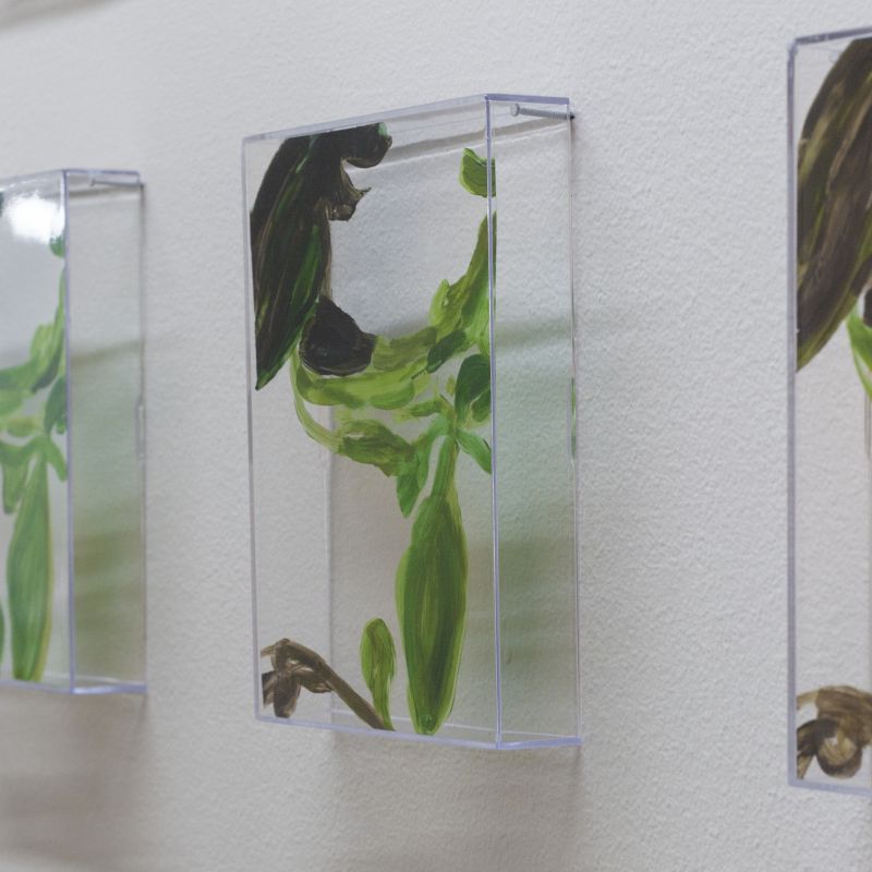 Alex Fischer, VII (6000), 20150226