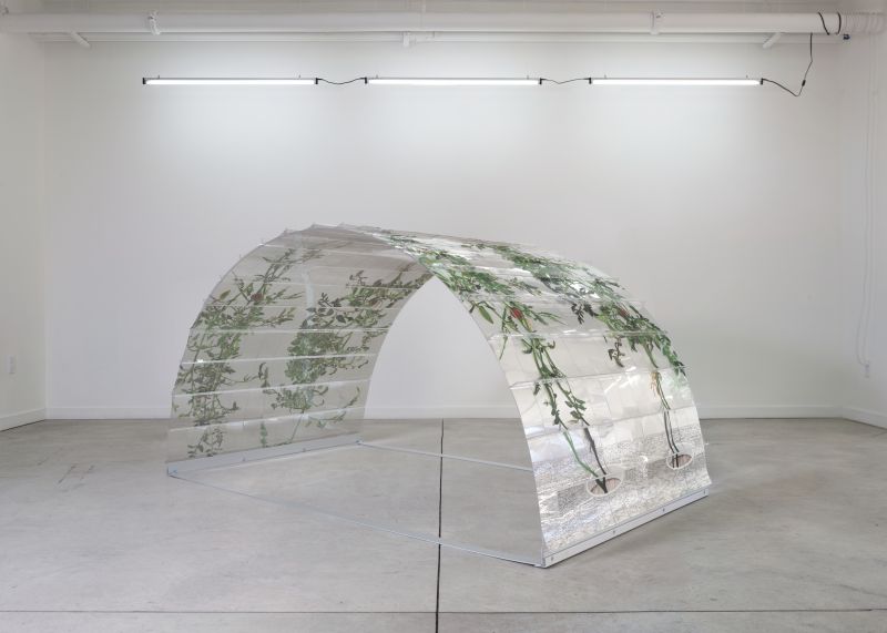 Alex Fischer, VII 6000 Arch, 20150226