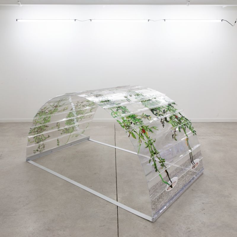 Alex Fischer, VII 6000 Arch, 20150226