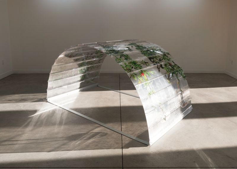 Alex Fischer, VII 6000 Arch, 20150226