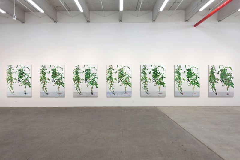 Installation view, 1 7 and 6000, 20150201