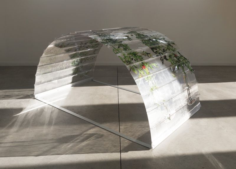 Alex Fischer, VII 6000 Arch, 20150226