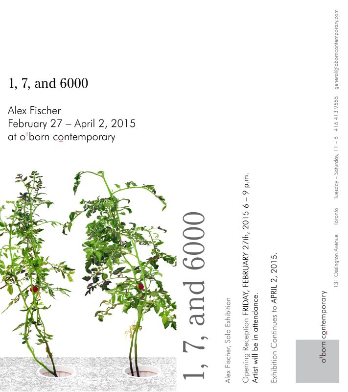 Installation view, 1 7 and 6000, 20150201