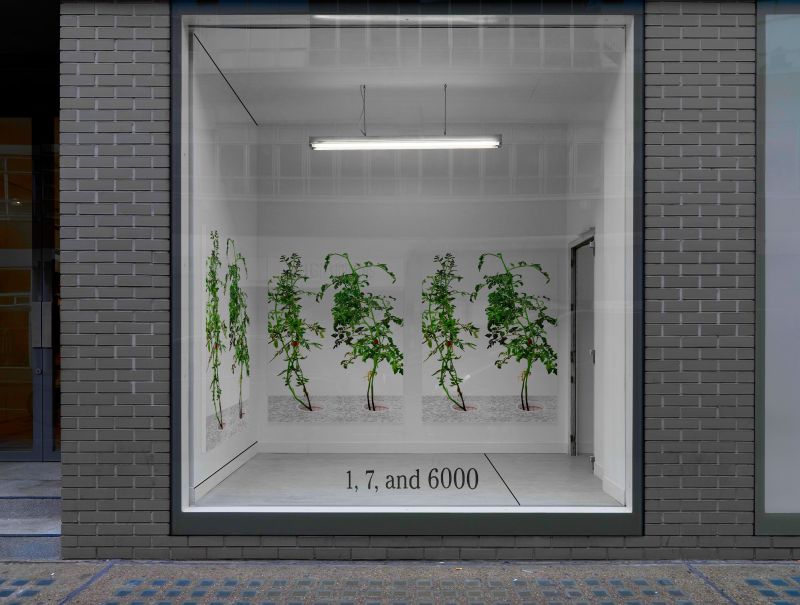 Installation view, 1 7 and 6000, 20150201
