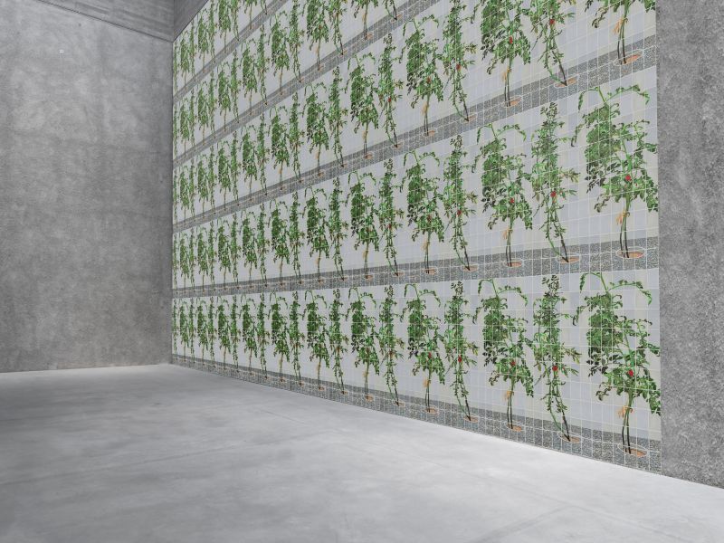 Alex Fischer, VII 6000, 20150226