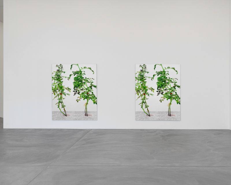 Installation view, 1 7 and 6000, 20150201