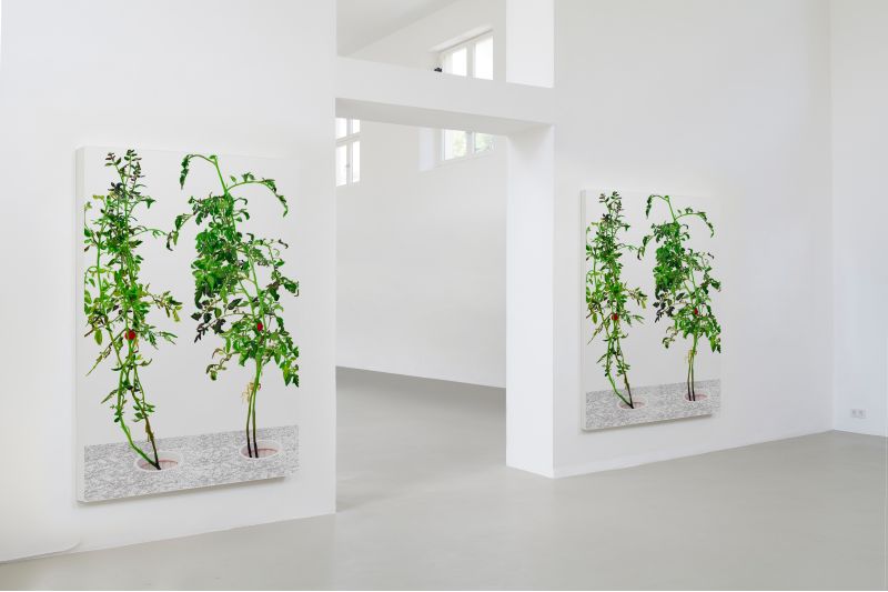 Installation view, 1 7 and 6000, 20150201