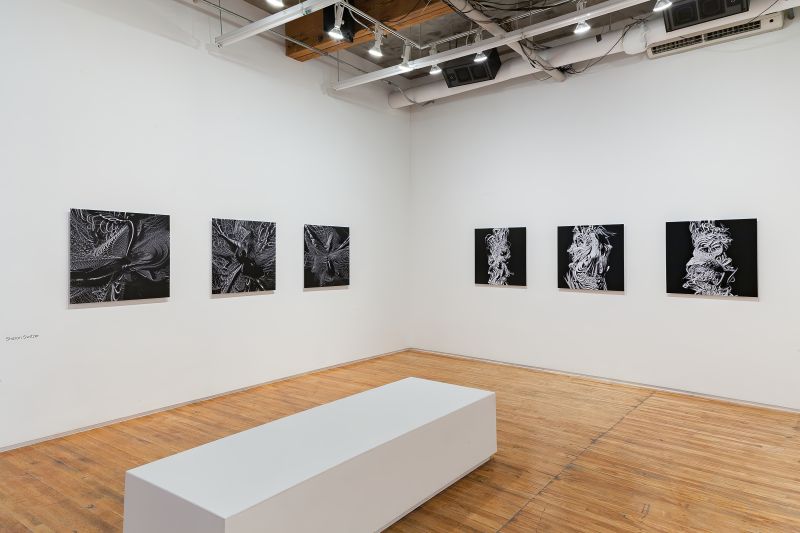 Trace Copy Render Circuit Gallery, 17