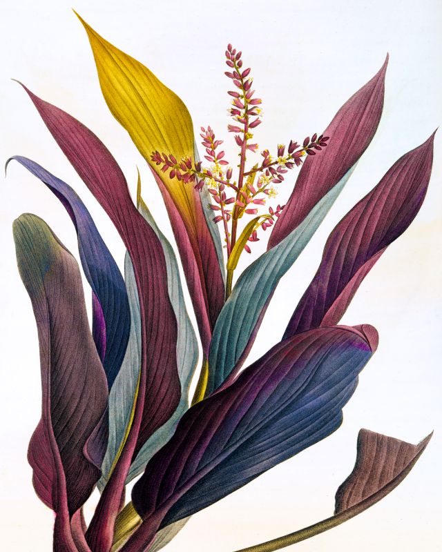 Untitled 170401, 9 × 7 in (229 × 178 mm), digital image of matte giclée