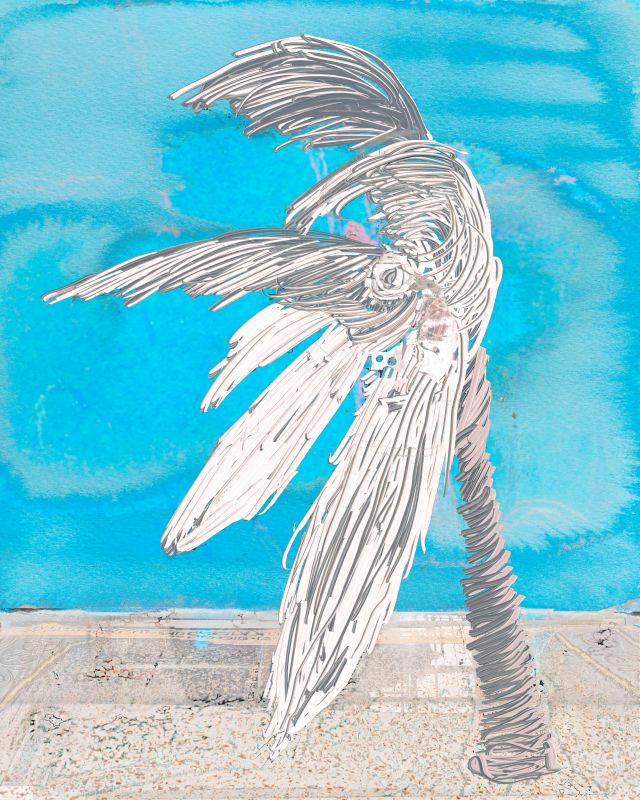 An Out Stretched Palm, 20171130, 75 × 60 in (1905 × 1524 mm), digital image of matte giclée