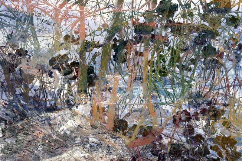 Bramble Walker, 20171130, 28 × 42 in (711 × 1067 mm), digital image of matte giclée