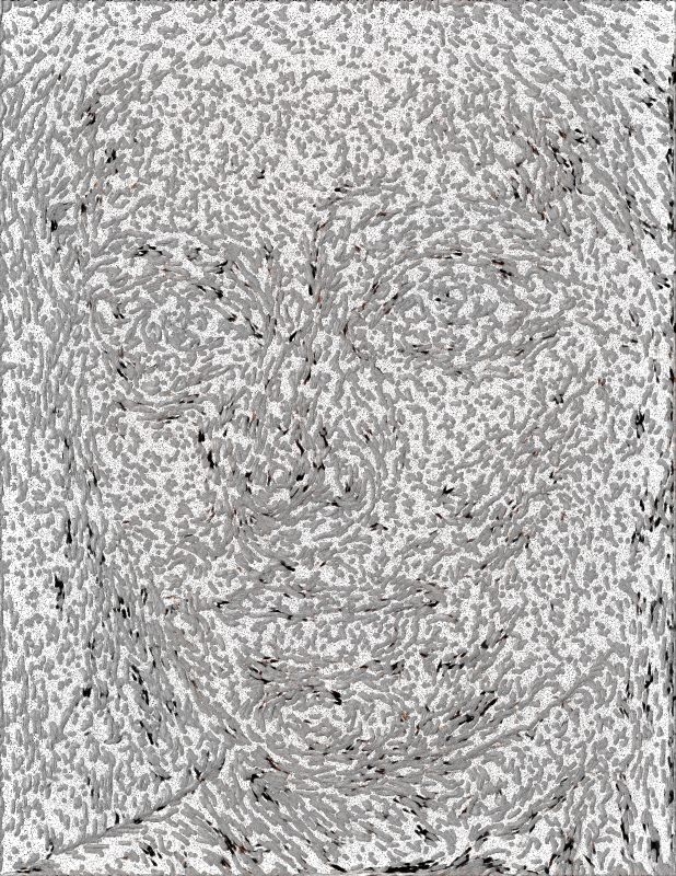Emily, 20171130, 44 × 34 in (1118 × 864 mm), digital image of matte giclée