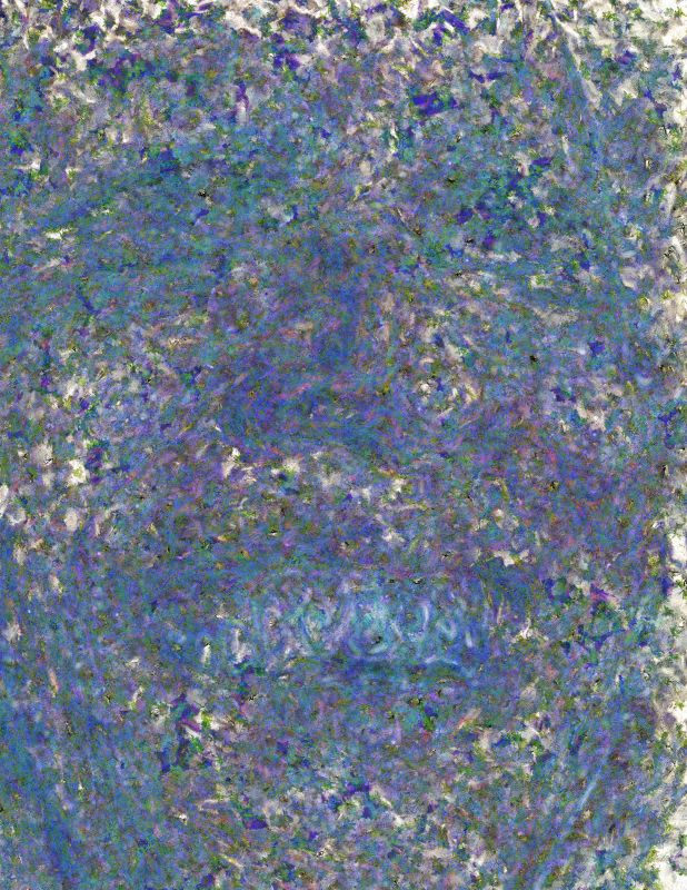 Hussein, 20171130, 44 × 34 in (1118 × 864 mm), digital image of matte giclée