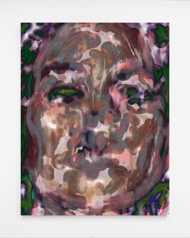Lana, 20171130, 44 × 34 in (1118 × 864 mm), digital image of matte giclée