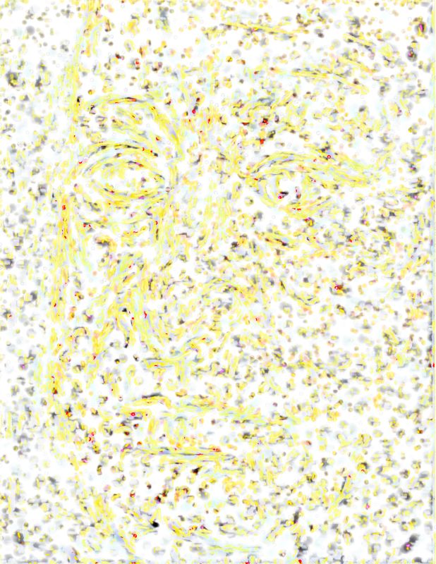 HA, 2017, 44 × 34 in (1118 × 864 mm), digital image of matte giclée