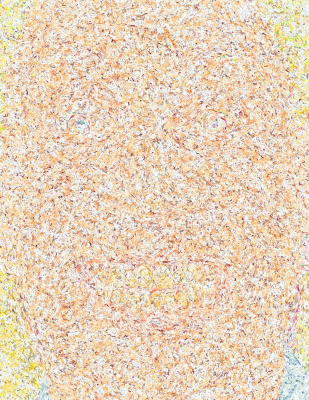 Sam, 20171203, 44 × 34 in (1118 × 864 mm), digital image of matte giclée