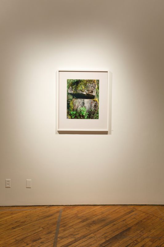 Installation view, Bending Towards the Sun, 20190401