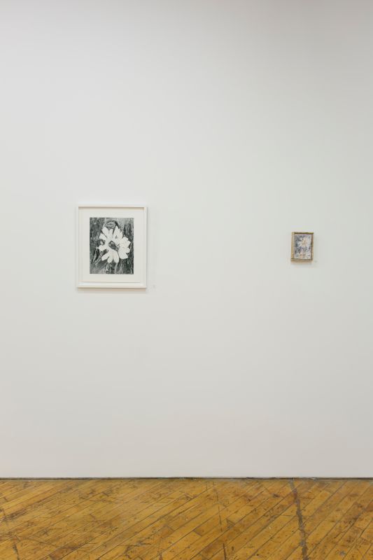 Installation view, Bending Towards the Sun, 20190401